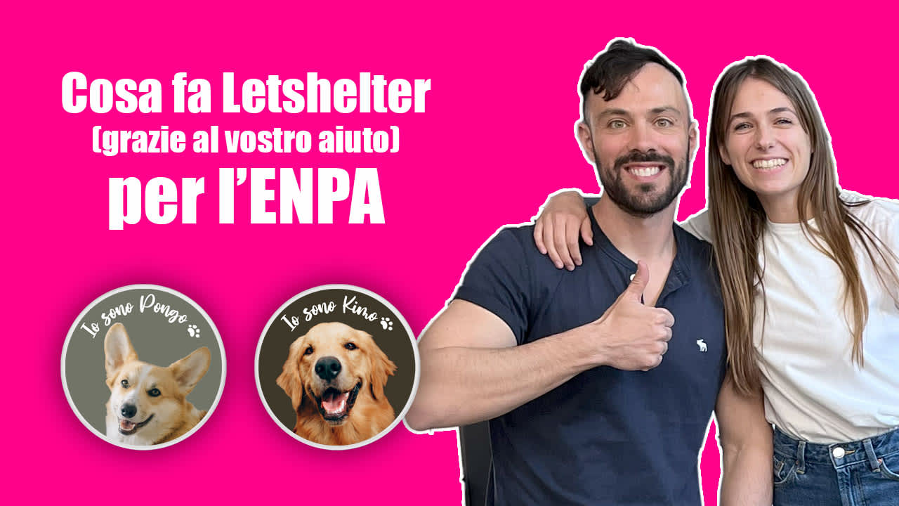 Tomas e Anna, fondatori di Letshelter, devolvono un parte dei ricavi all'ENPA
