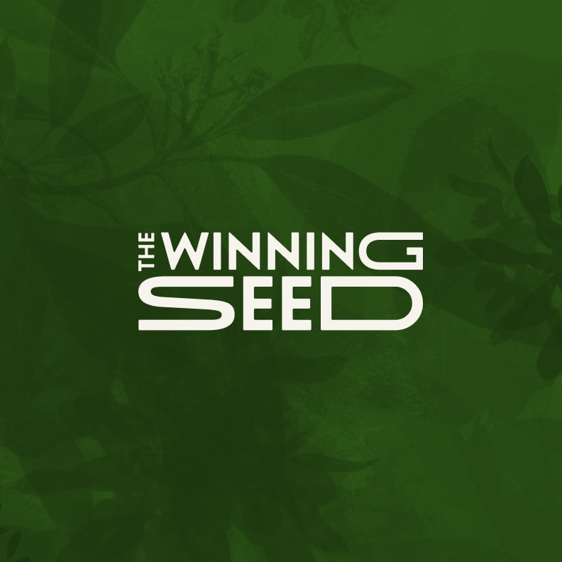 The current Winning Seed logo