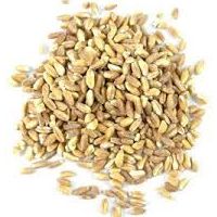 meal-kit-ingredient-Farro