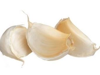 meal-kit-ingredient-Garlic