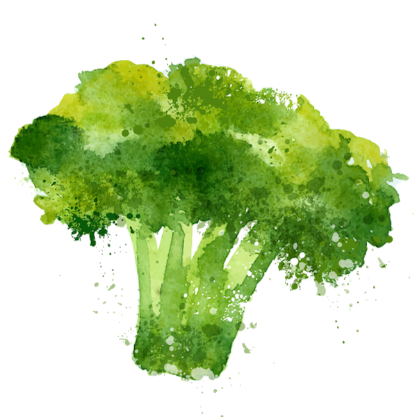 meal-kit-ingredient-Broccoli (Organic)