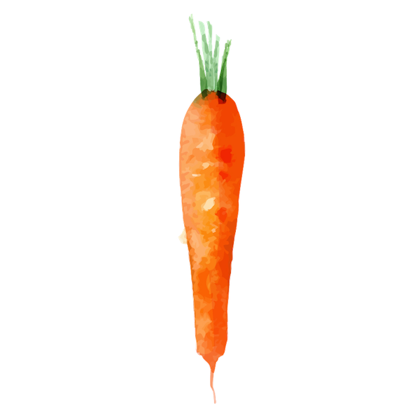 meal-kit-ingredient-Carrot (Organic)