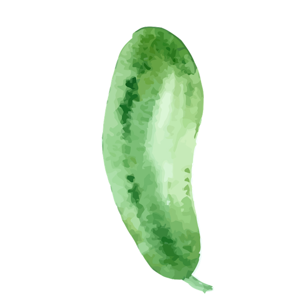meal-kit-ingredient-Cucumber