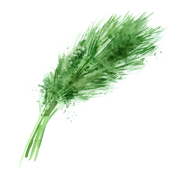 meal-kit-ingredient-Dill Bouquet