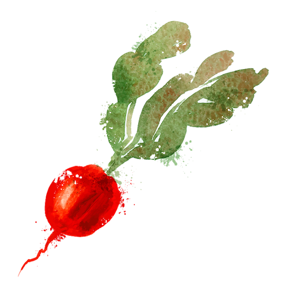 meal-kit-ingredient-Purple Plum Radish