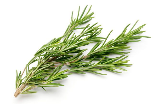 meal-kit-ingredient-Rosemary