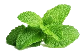 meal-kit-ingredient-Mint (Organic)