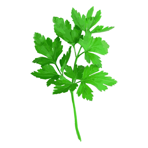 meal-kit-ingredient-Cilantro (Organic)