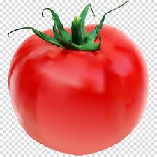 meal-kit-ingredient-Roma Tomato