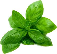 meal-kit-ingredient-Basil 