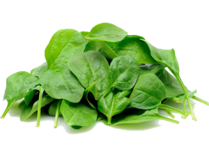 meal-kit-ingredient-Spinach (Organic)