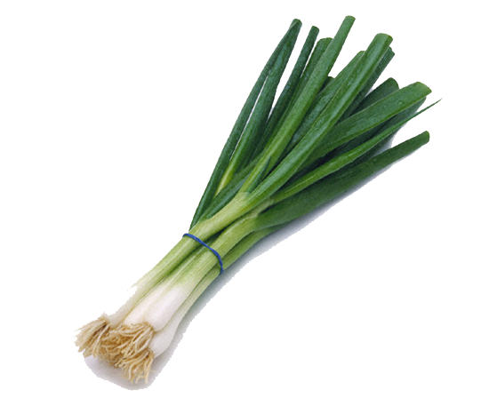meal-kit-ingredient-Green onion