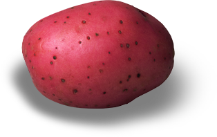 meal-kit-ingredient-Red Potato