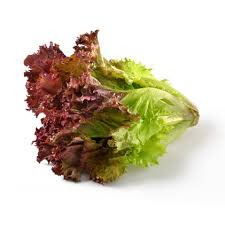 meal-kit-ingredient-Red Romaine Lettuce