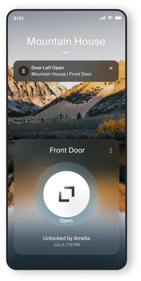 Level Lock Pro