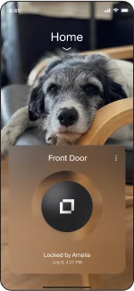 Level Lock Pro