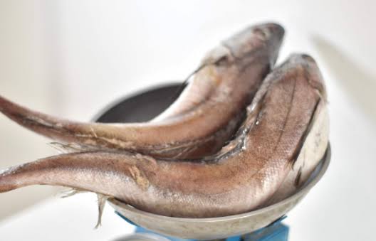 BLUE WHITING (PANLA) 20+ 30KG (2 SLT)