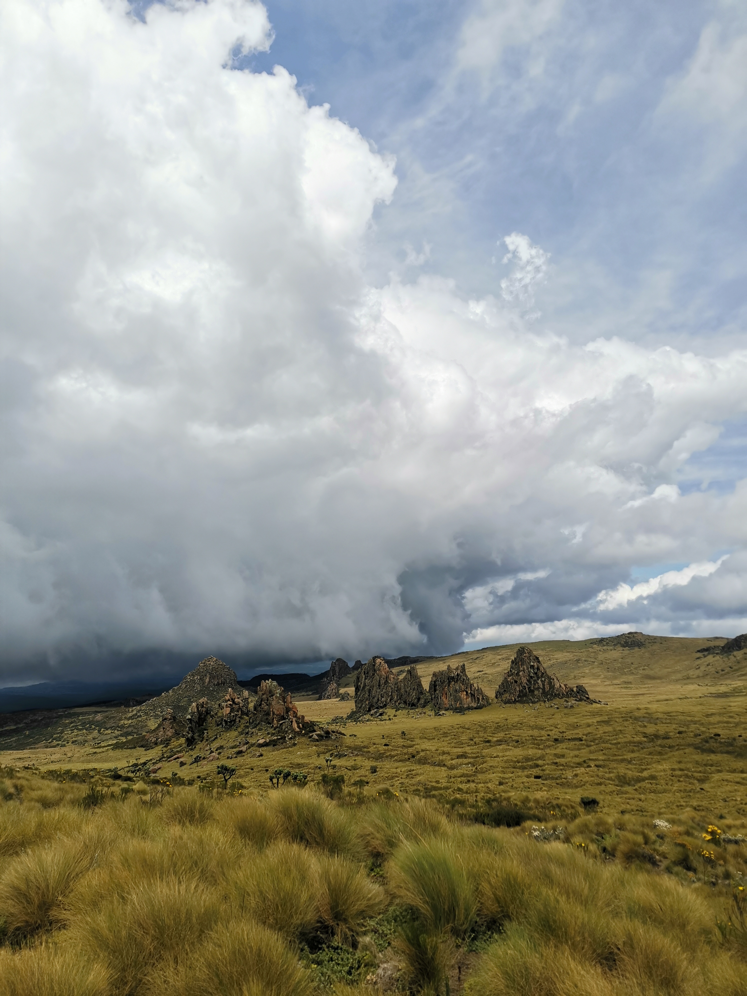 Dragon's Teeth in the Aberdares