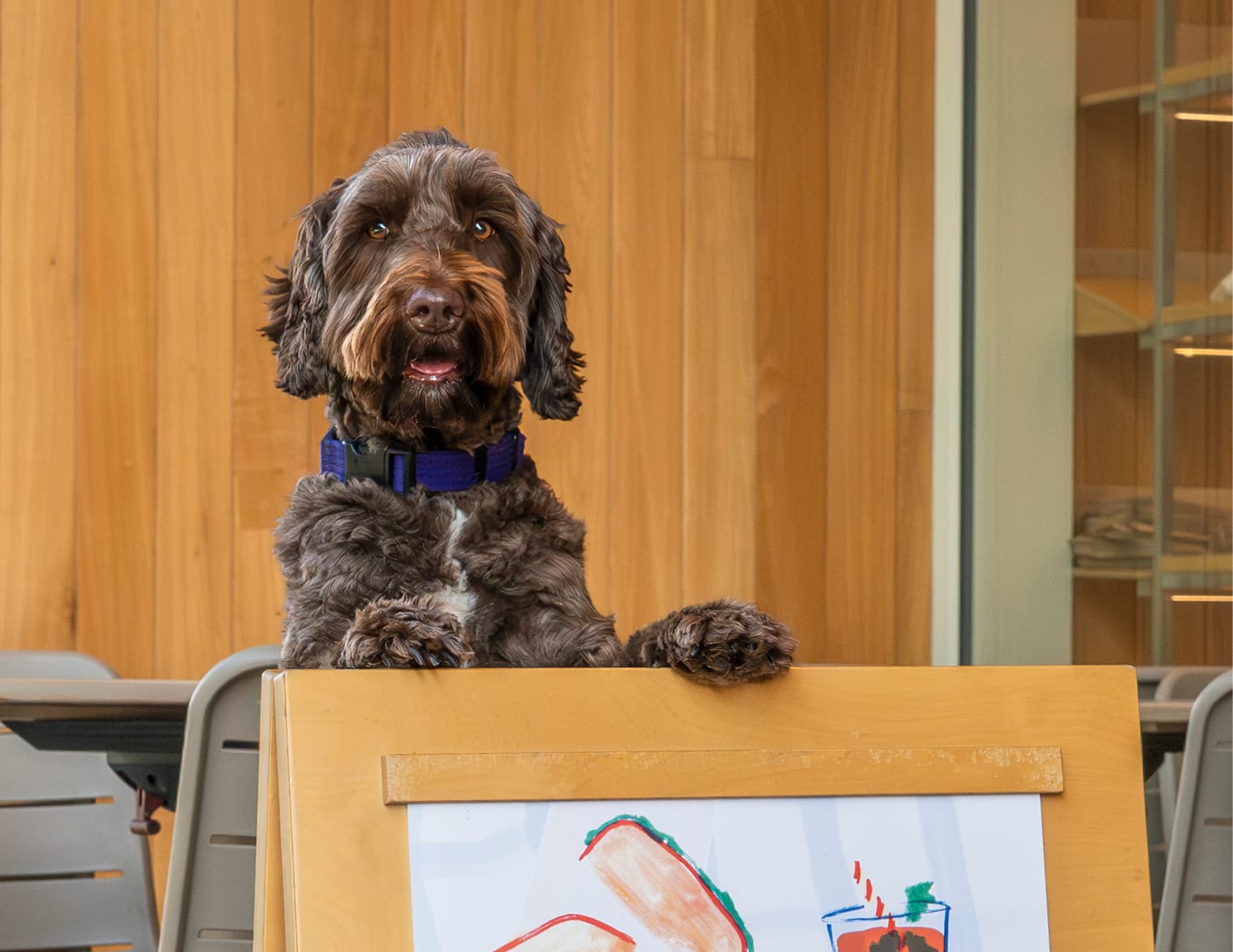 Paws at The Lexicon