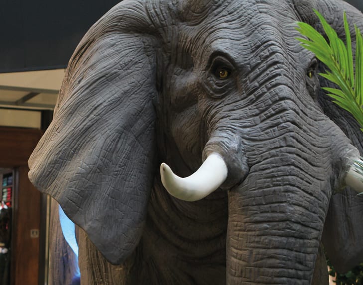 Go wild this summer at The Lexicon