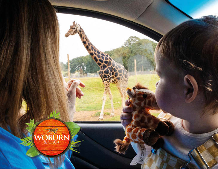 Summer  Safari - Great prizes to be won!