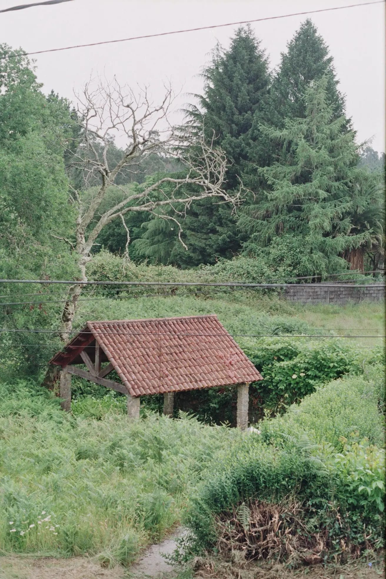 Poboa in 35mm image 6