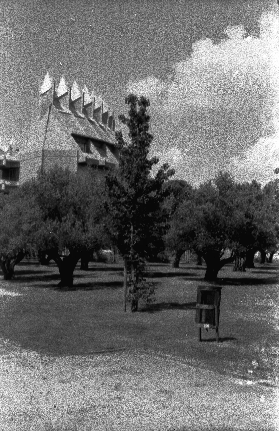 Kassel 35mm image 16