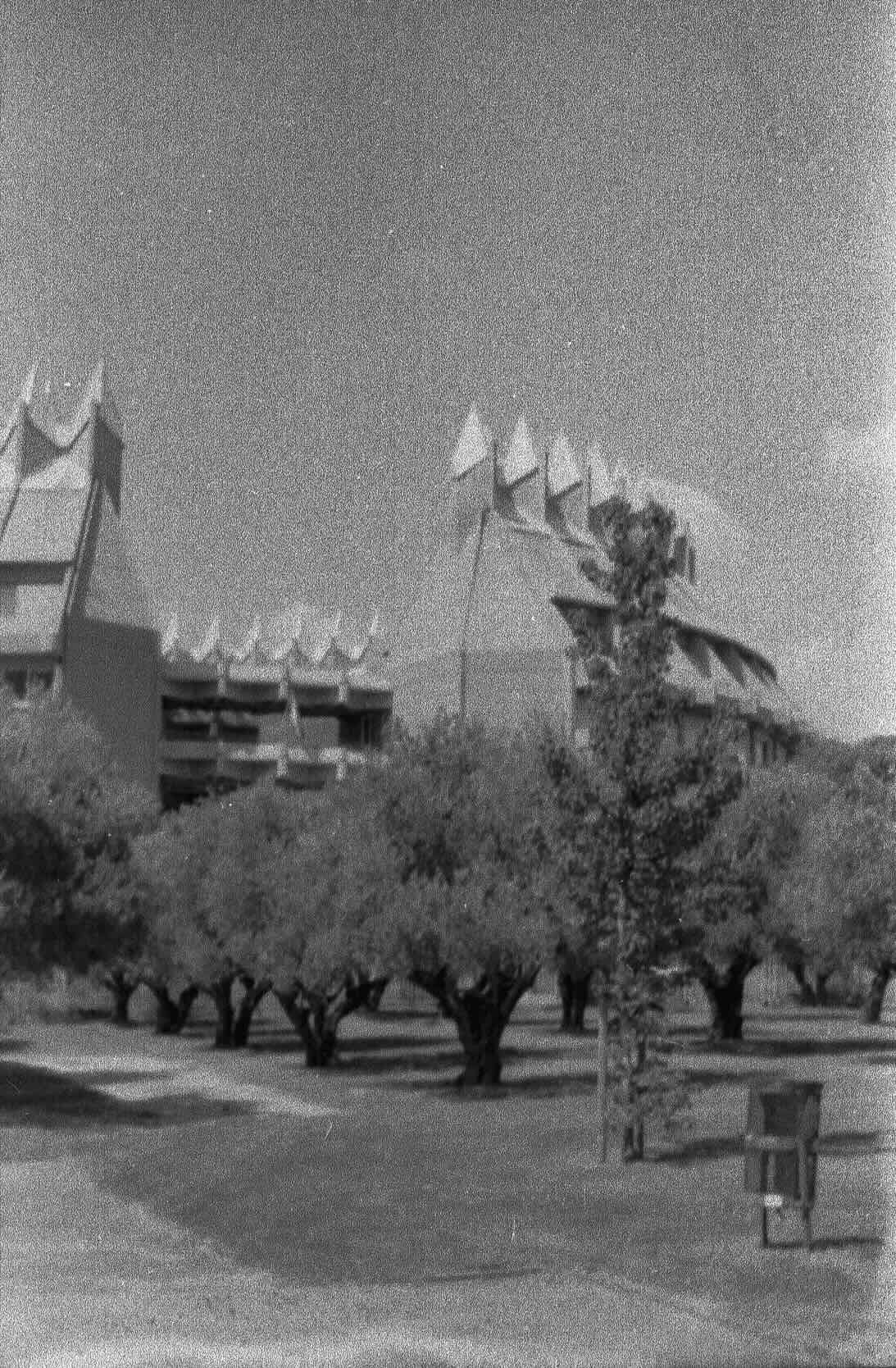 Kassel 35mm image 12