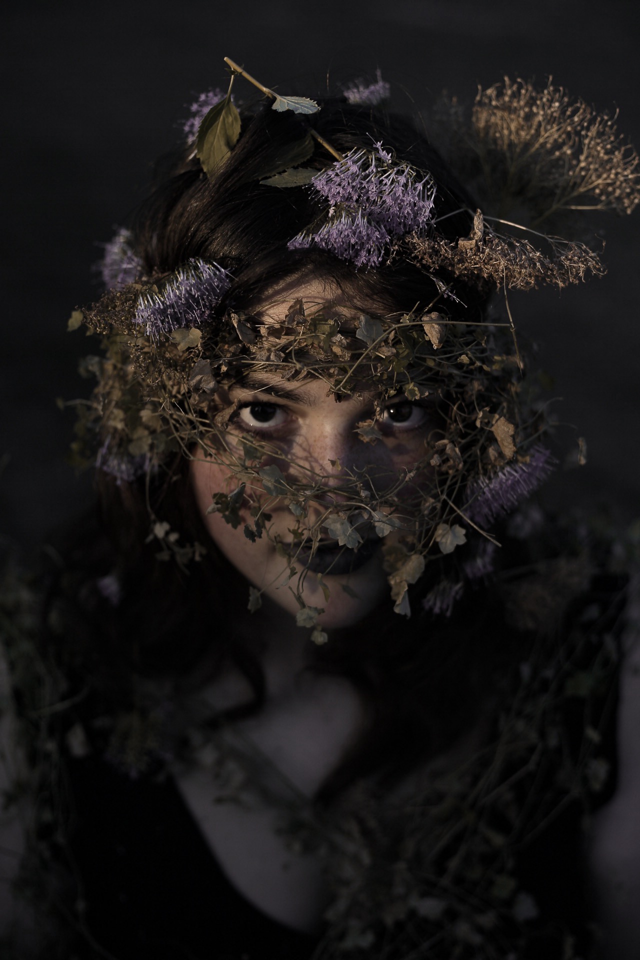 Orchid image 10