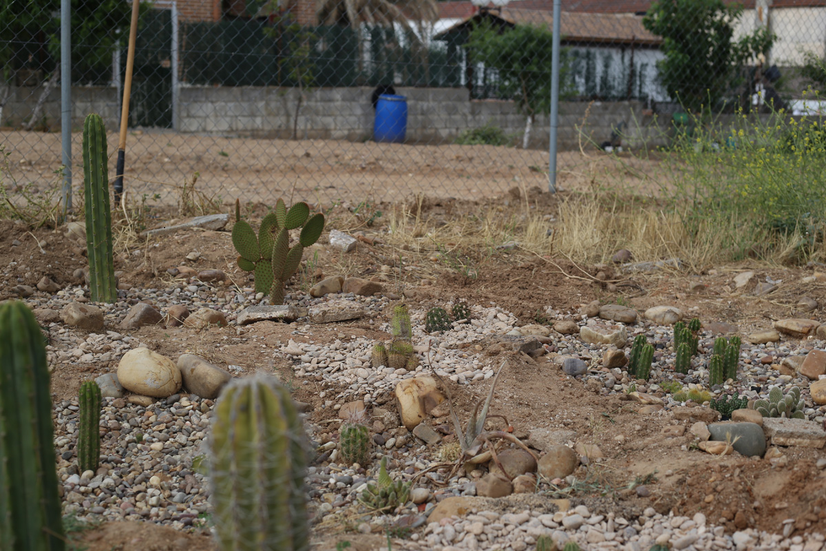 Talavera image 29