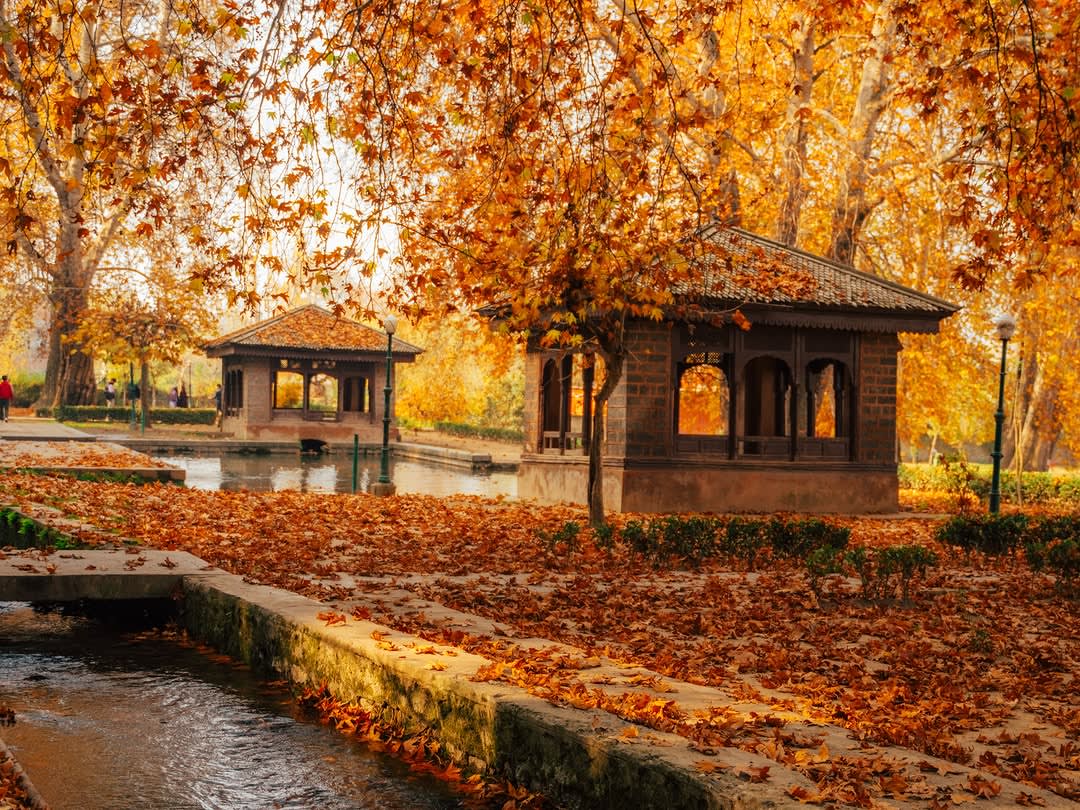 🍂 Kashmir Autumn Escape 4N5D