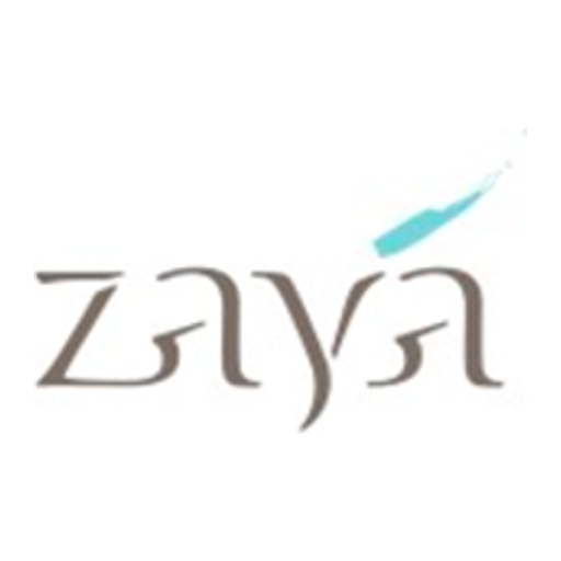 Zaya Living Real Estate Development