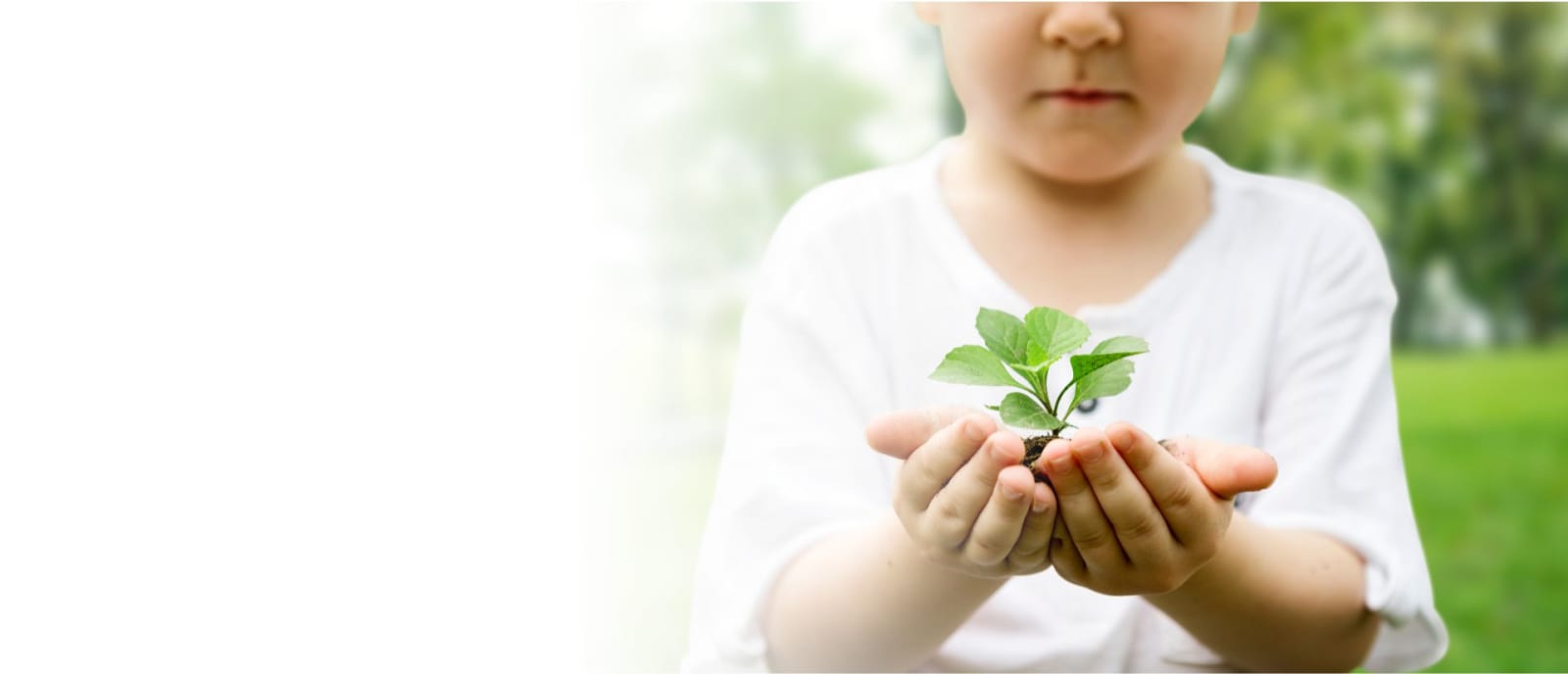 Green Roots Early Learning Centre
