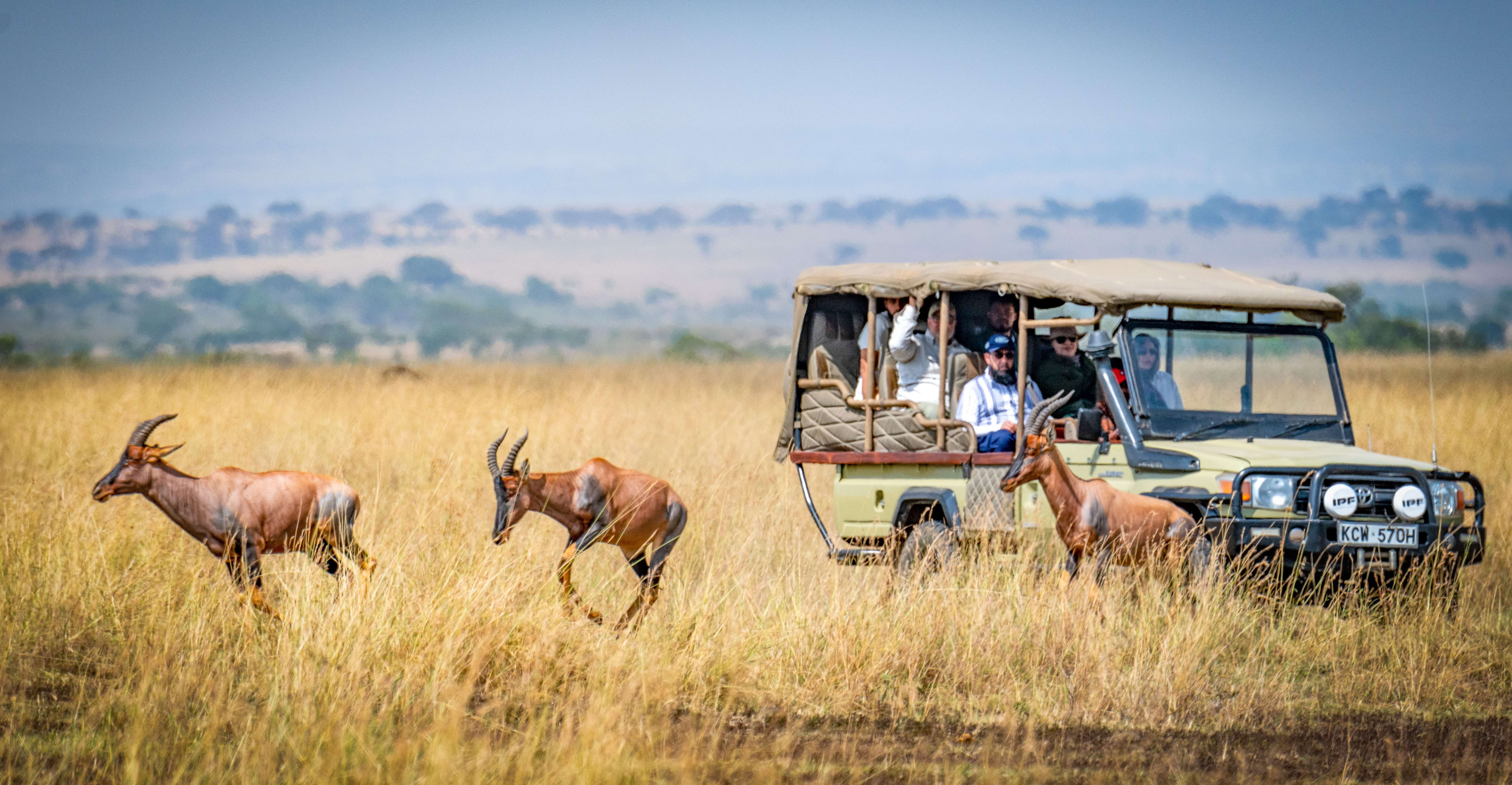 4 Day Murchison Falls Safari with Paraa Lodge