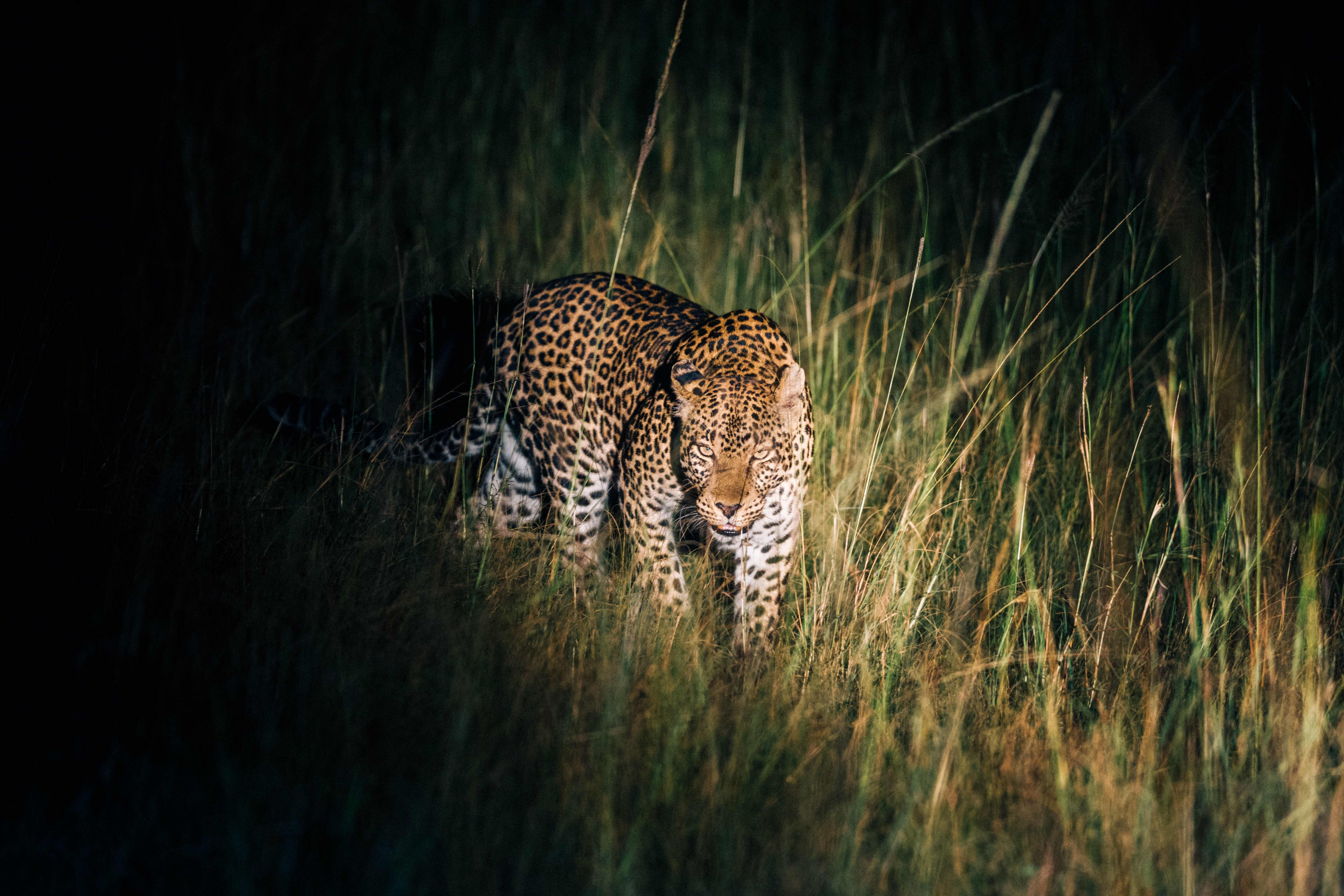 Lake Mburo National Park