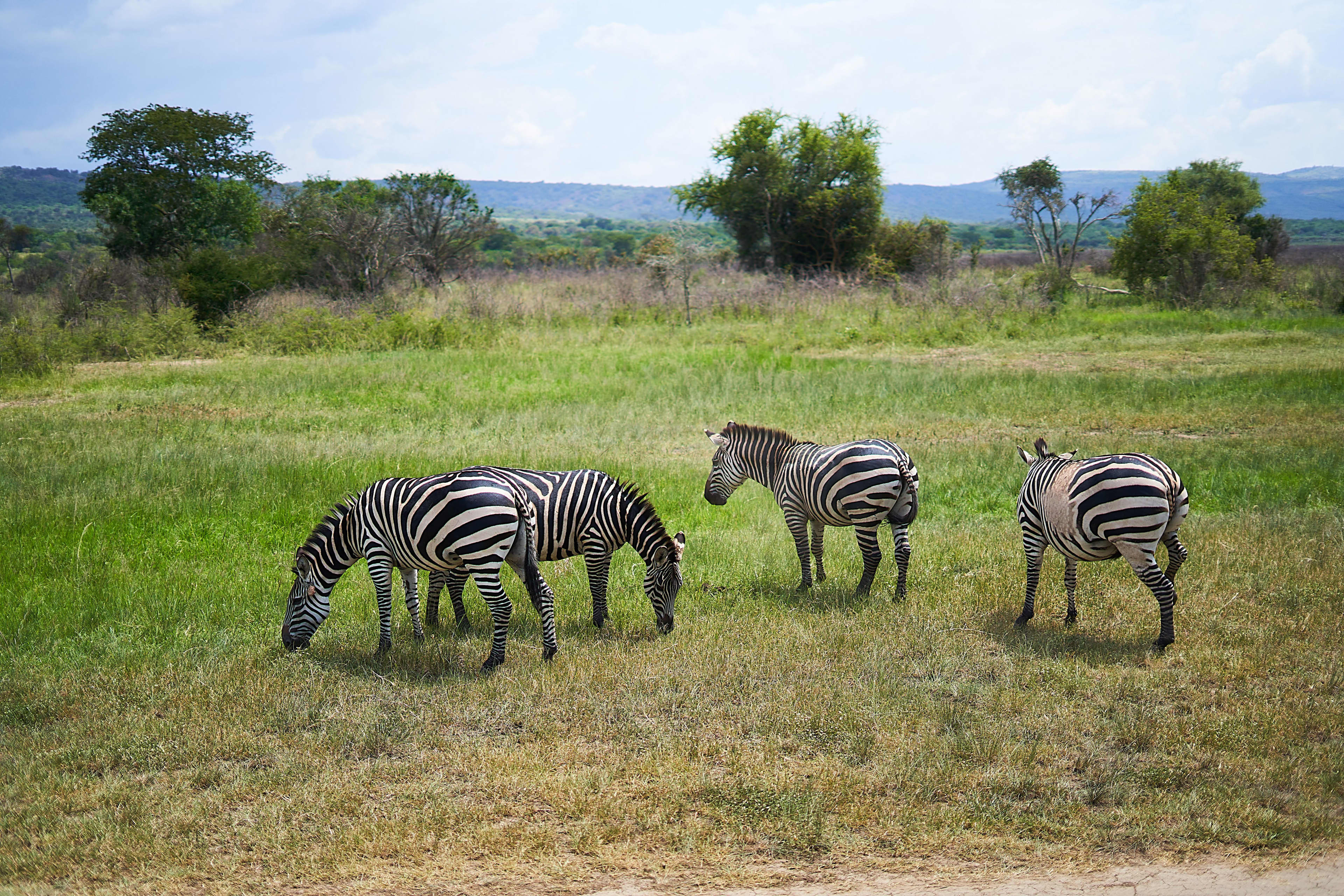 Murchison Falls and Paraa Lodge: A Visitor's Guide