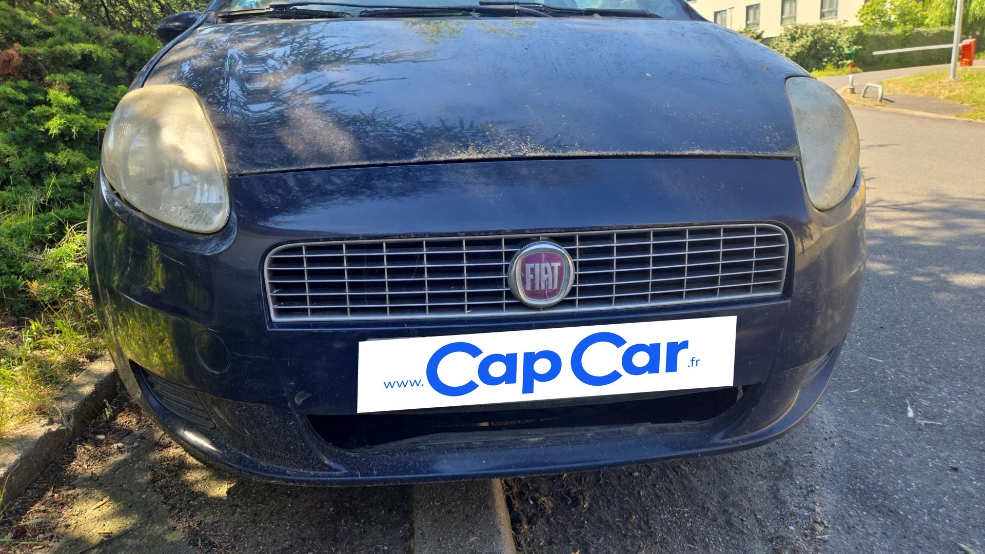 Photo 7