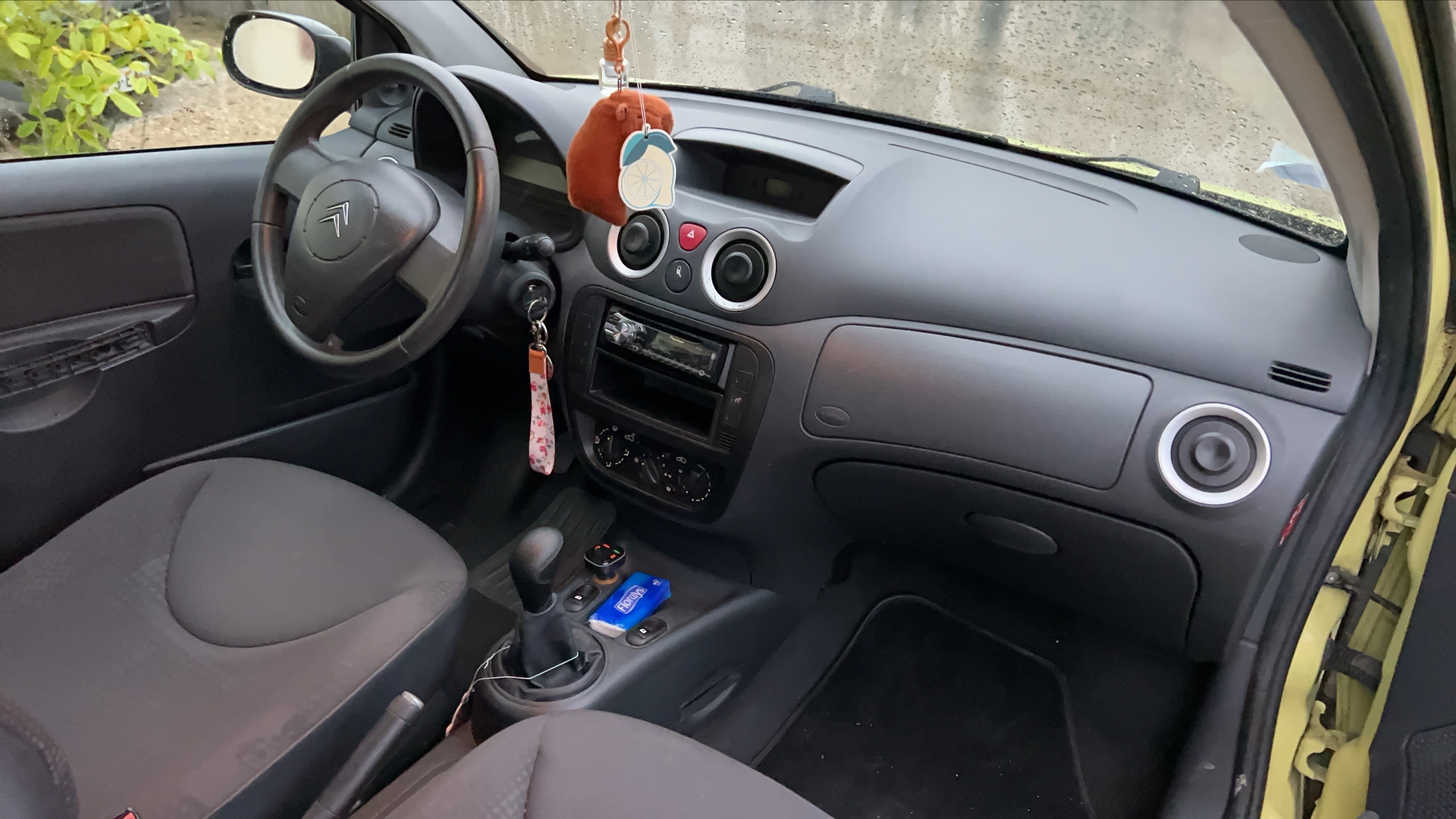 Photo 19