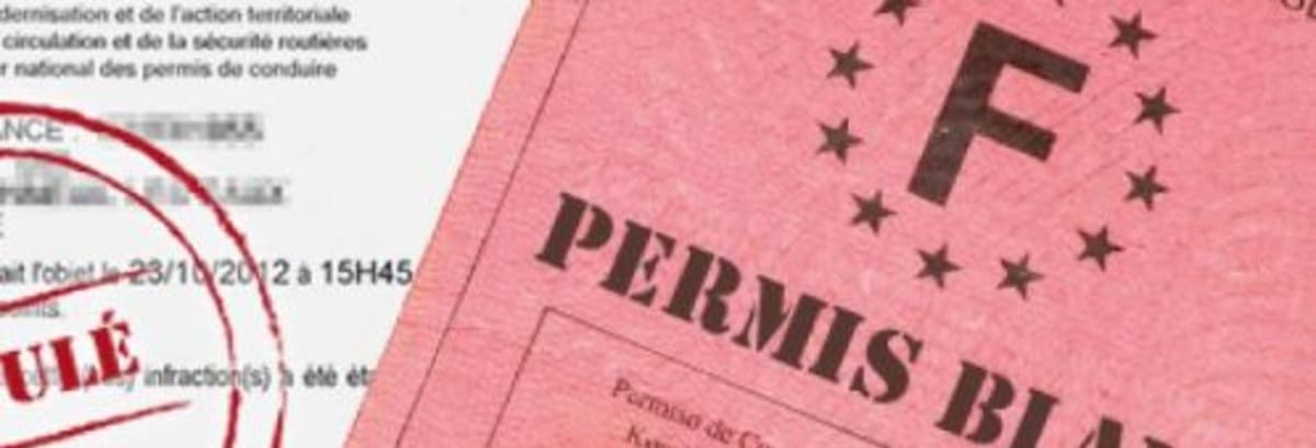 Tout savoir sur le « permis blanc »