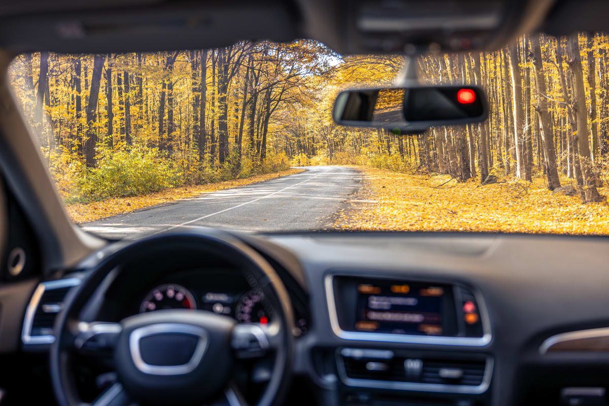 Nouveautés auto : ce qu’il faut suivre et leur impact sur l’occasion