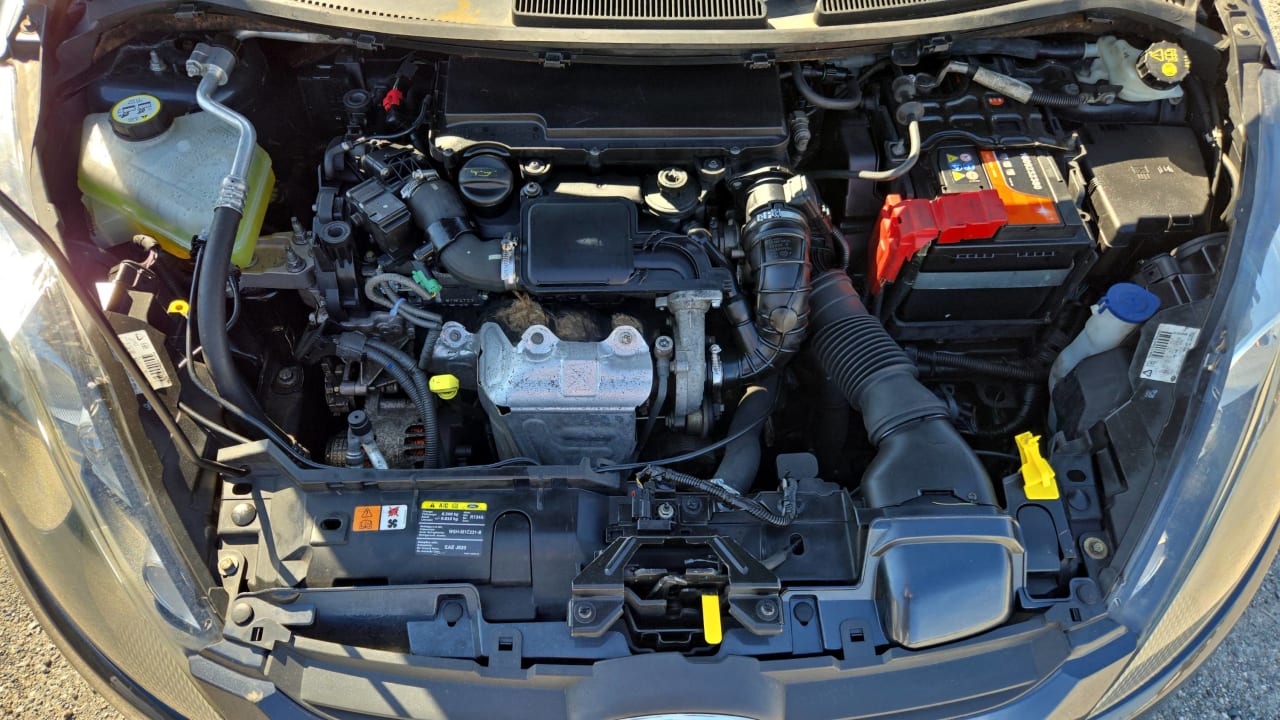 Photo du moteur 1