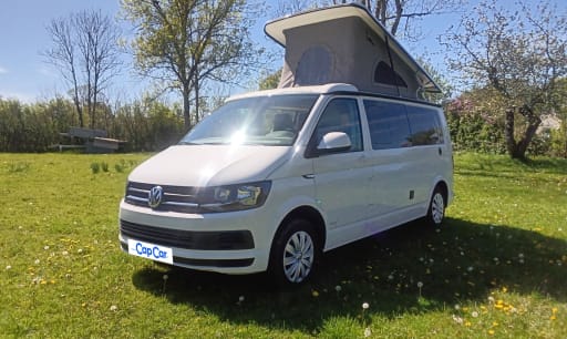 Volkswagen  Transporteur