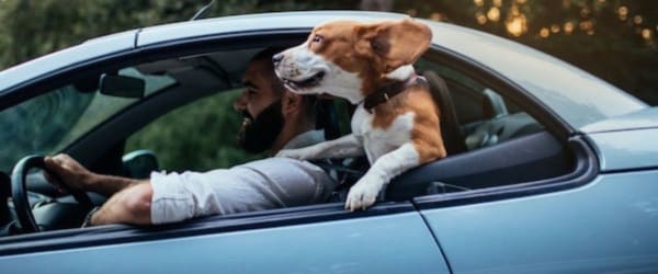 Acheter un coupé d’occasion