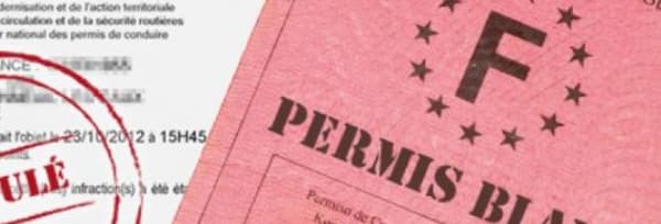 Tout savoir sur le « permis blanc »