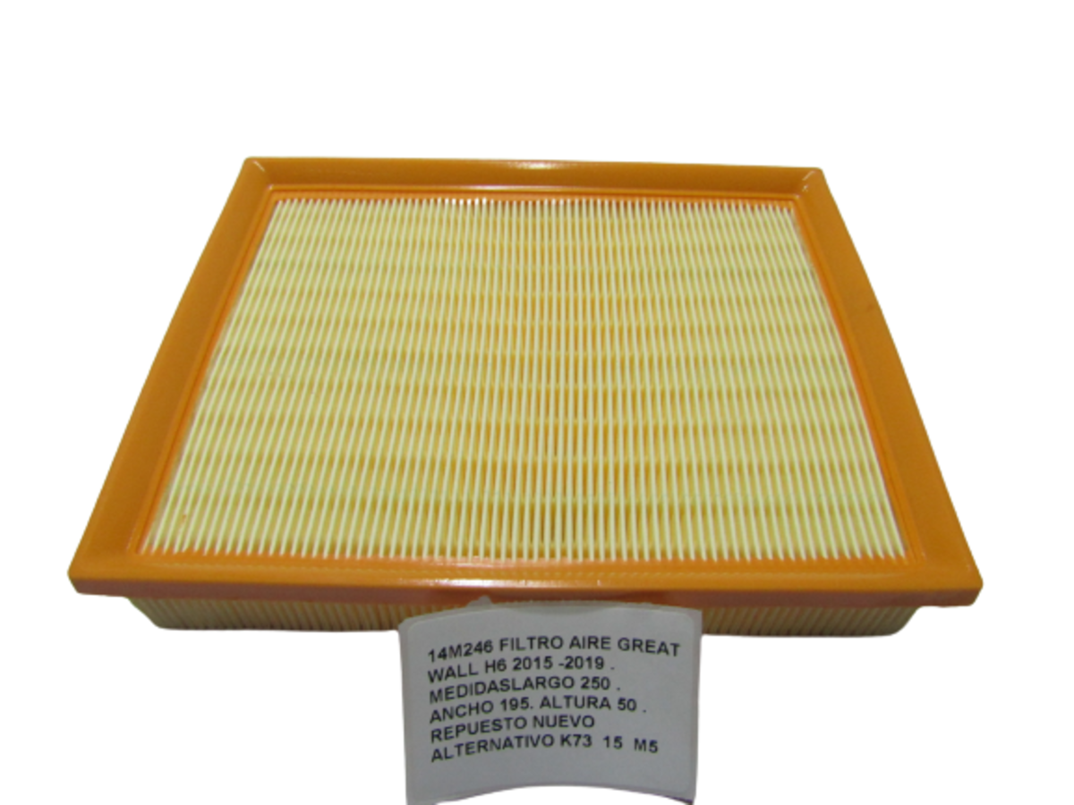 Filtro Aire Great Wall H6 2015 -2019 . Medidaslargo 250 - foto 3