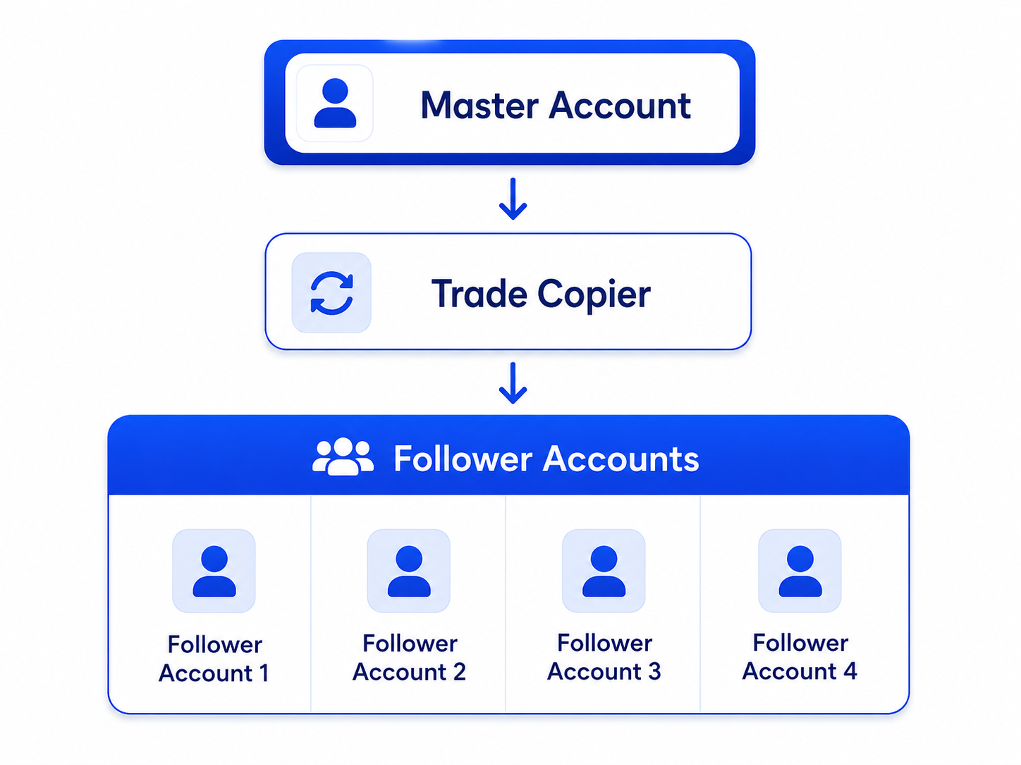 TradingView MT5 Workflow
