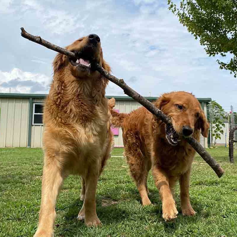 Daycare