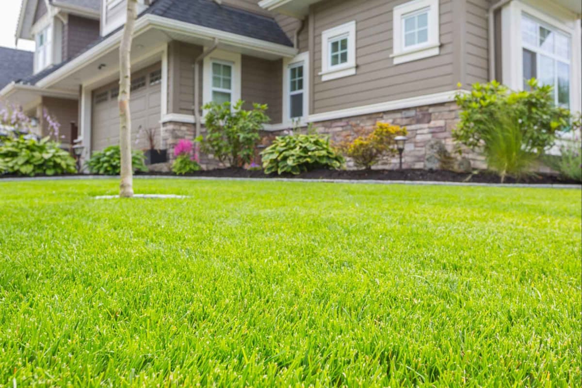 Find a commercial lawn care services in Scottsdale, AZ