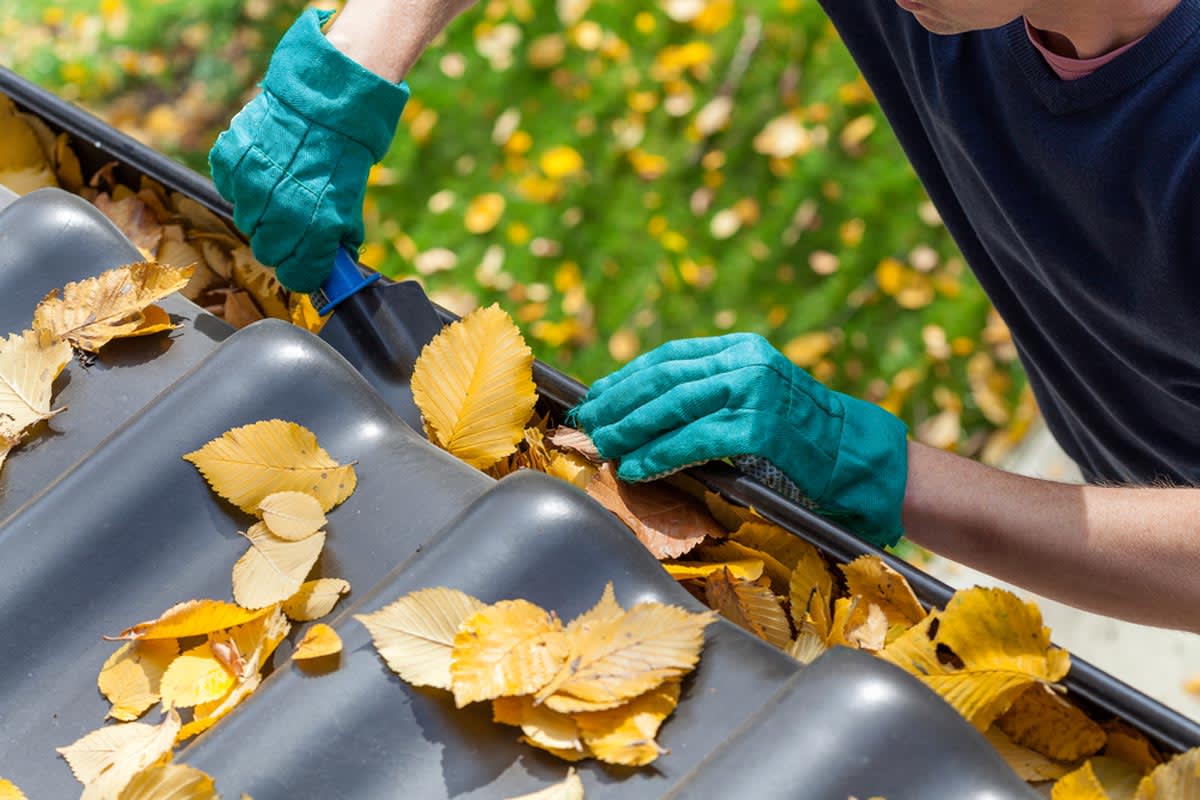 Find a gutter cleaner in Orlando, FL