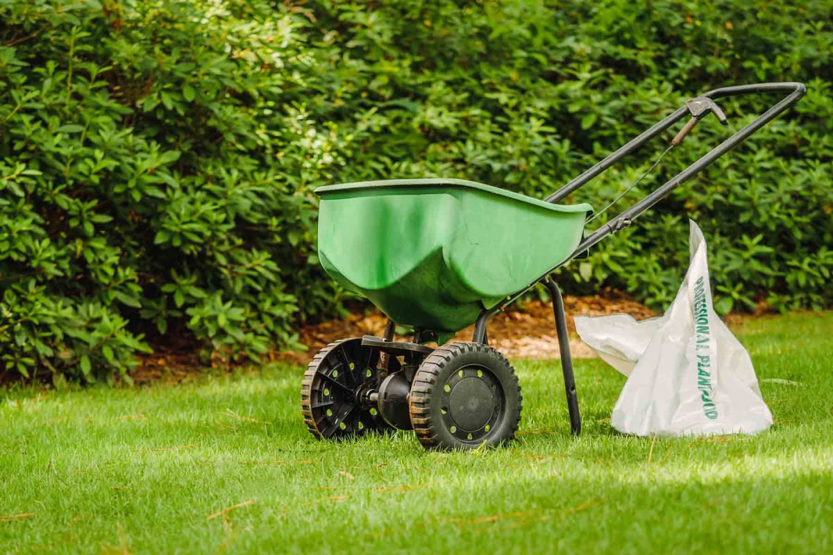 Find a grass seeding companies in Atlanta, GA